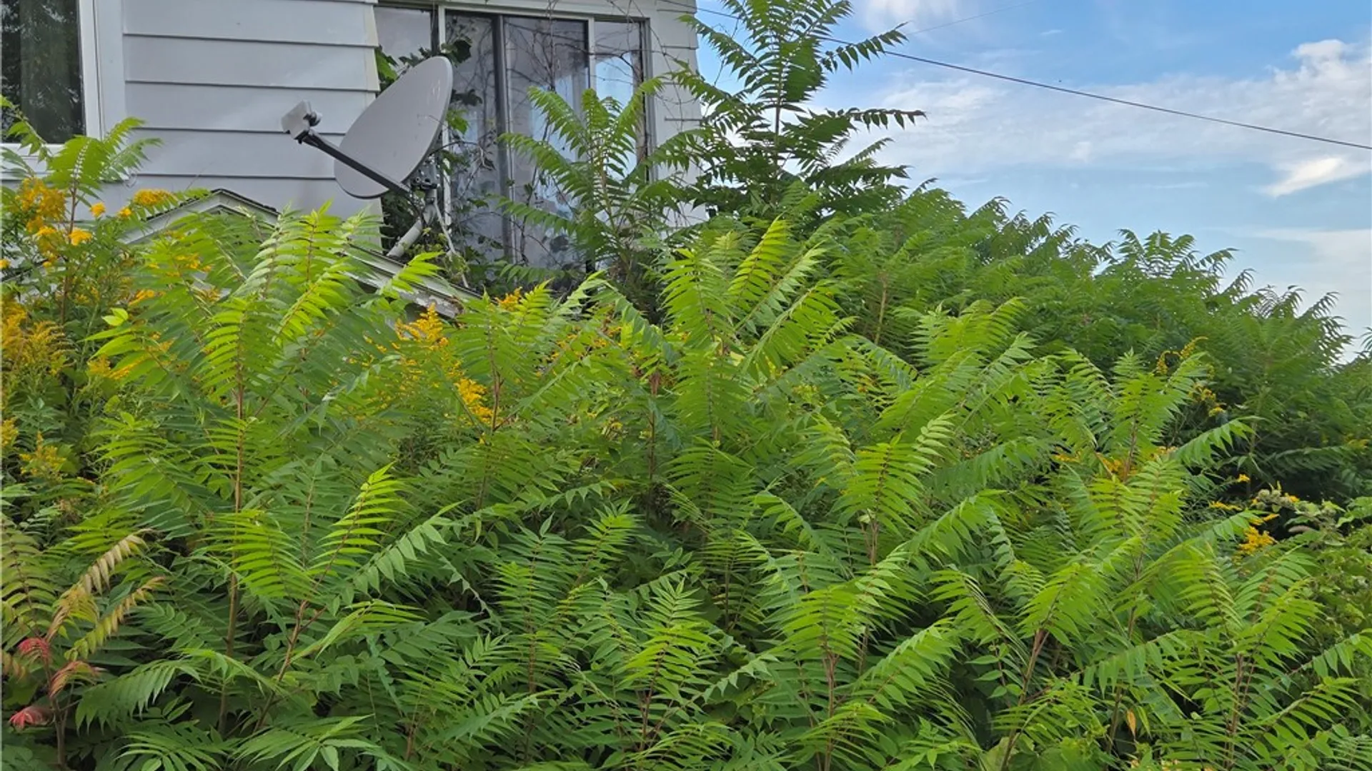 Property at 4443 State Route 41a, Niles, NY 13152 6