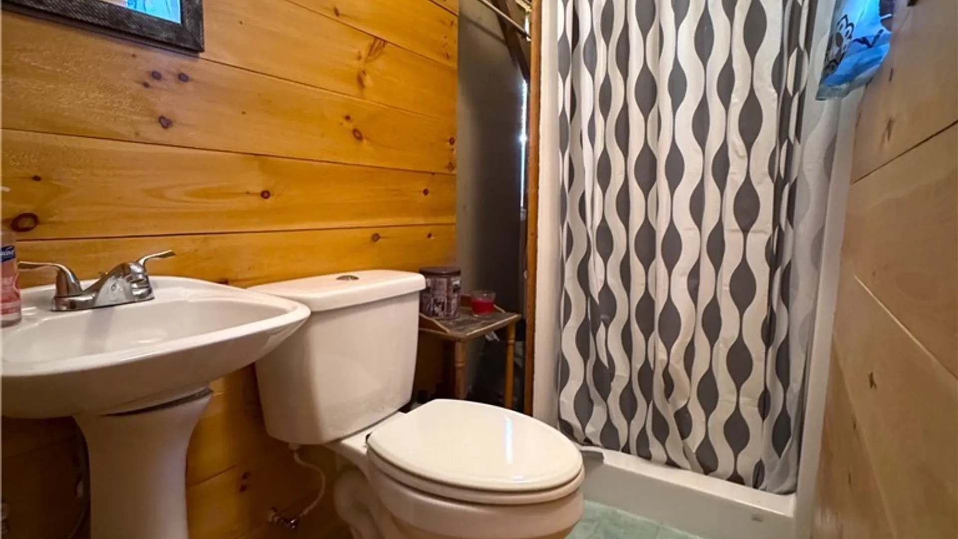 Property at 103 Haskell Lane, Ohio, NY 13324 48