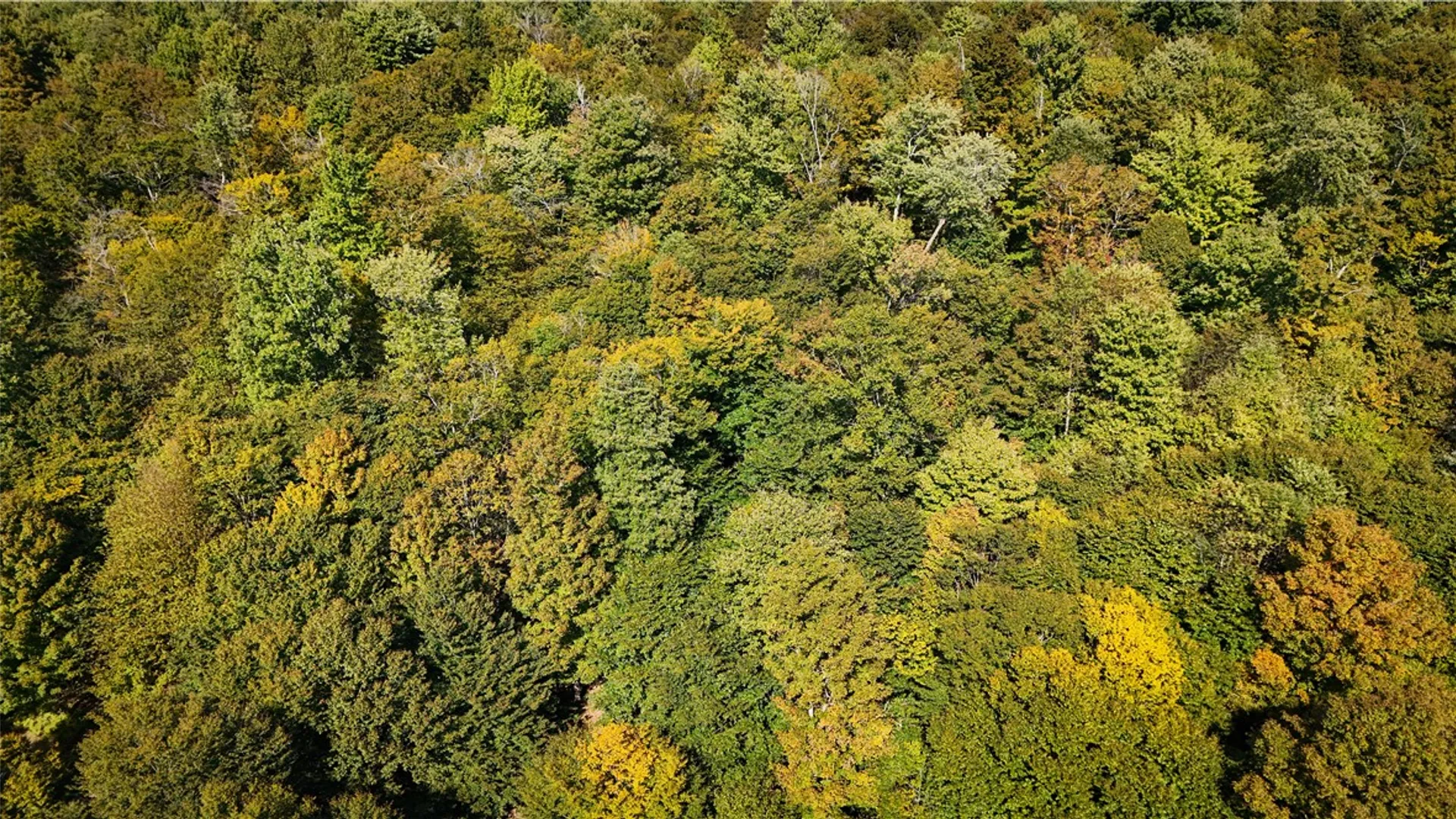 Property at Tamblin Ridge, Constantia, NY 13028 15