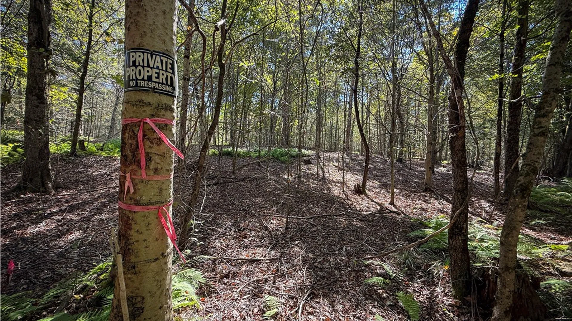 Property at Tamblin Ridge, Constantia, NY 13028 23