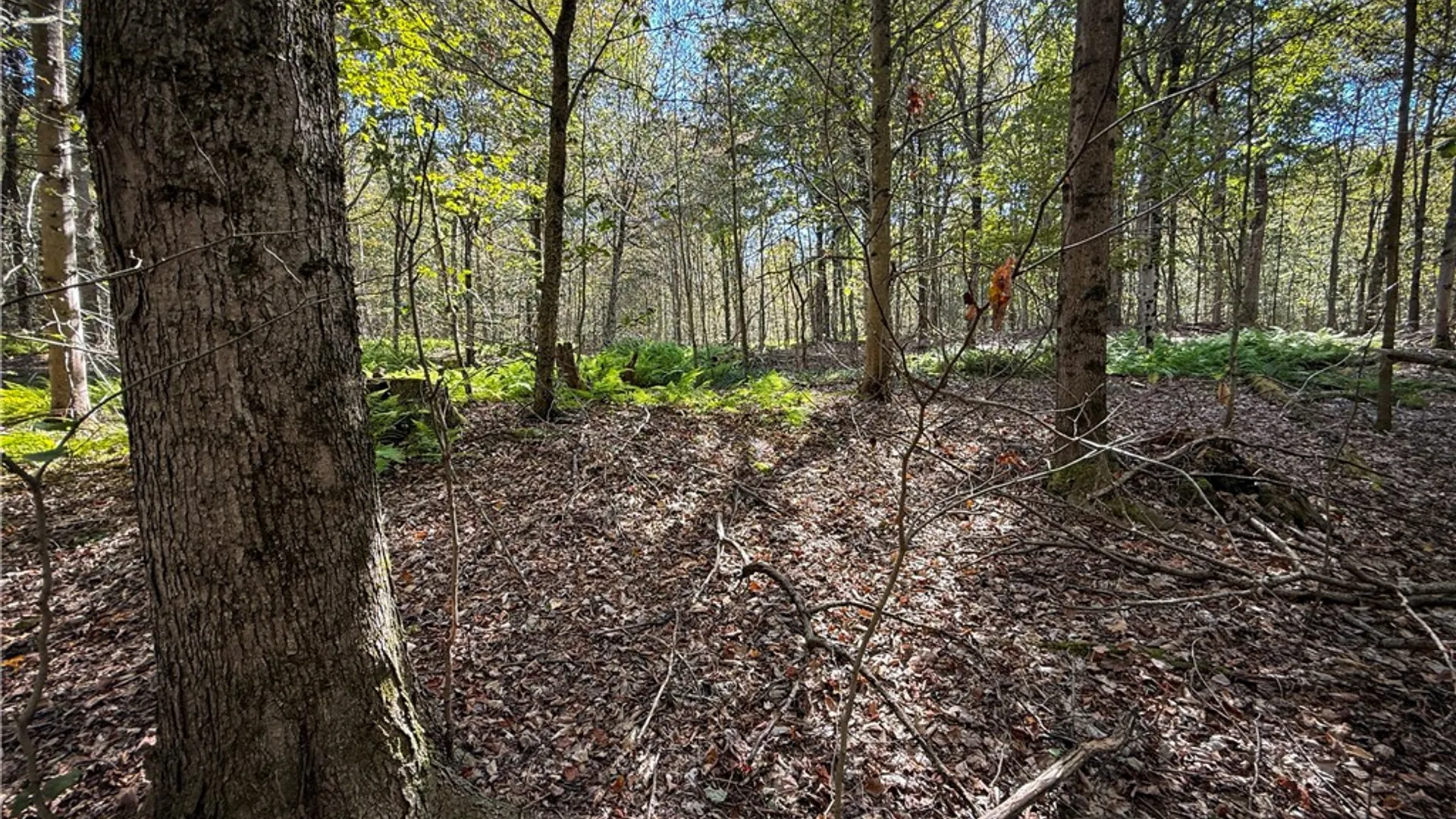 Property at Tamblin Ridge, Constantia, NY 13028 25