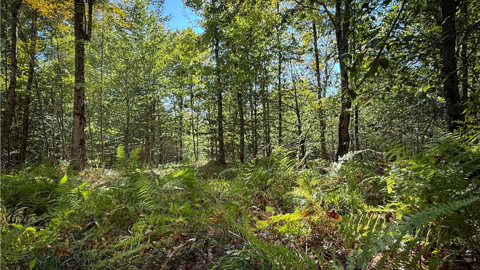 Property at Tamblin Ridge, Constantia, NY 13028 27