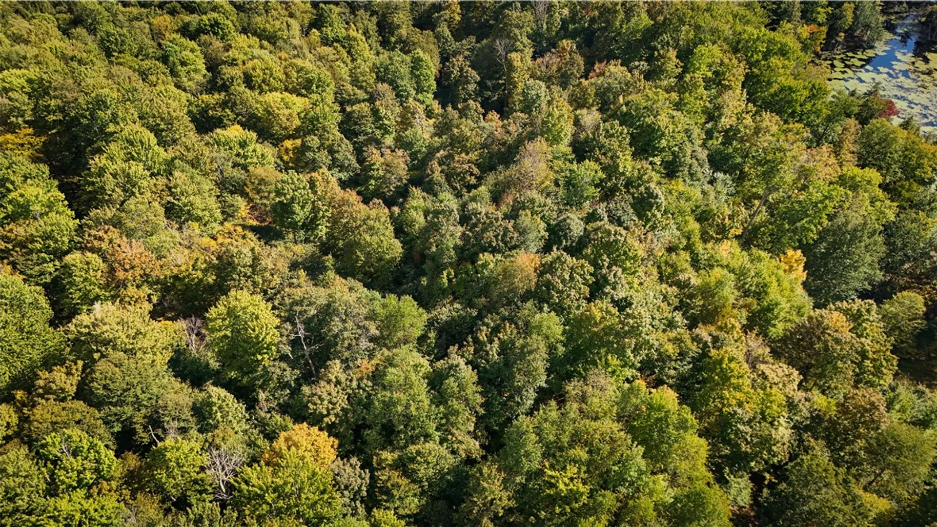 Property at Tamblin Ridge, Constantia, NY 13028 33