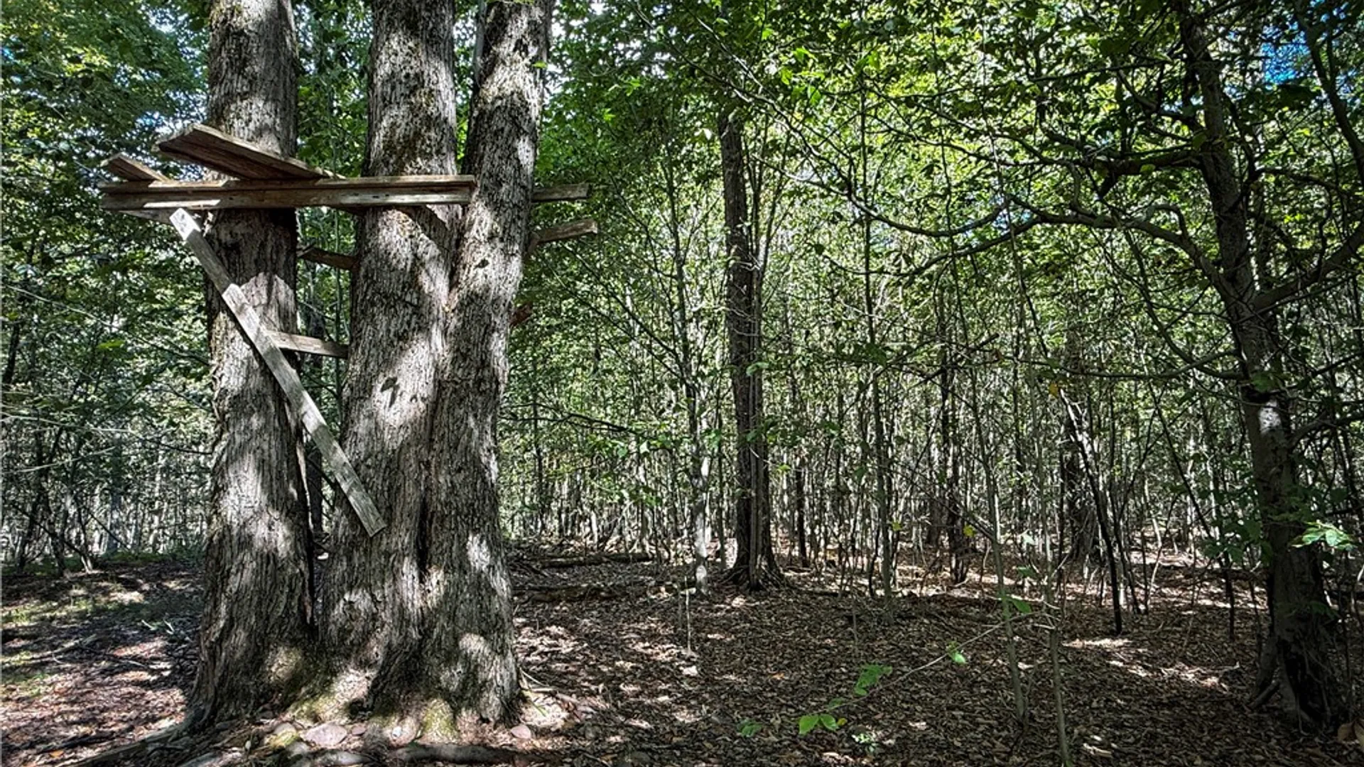 Property at Tamblin Ridge, Constantia, NY 13028 37