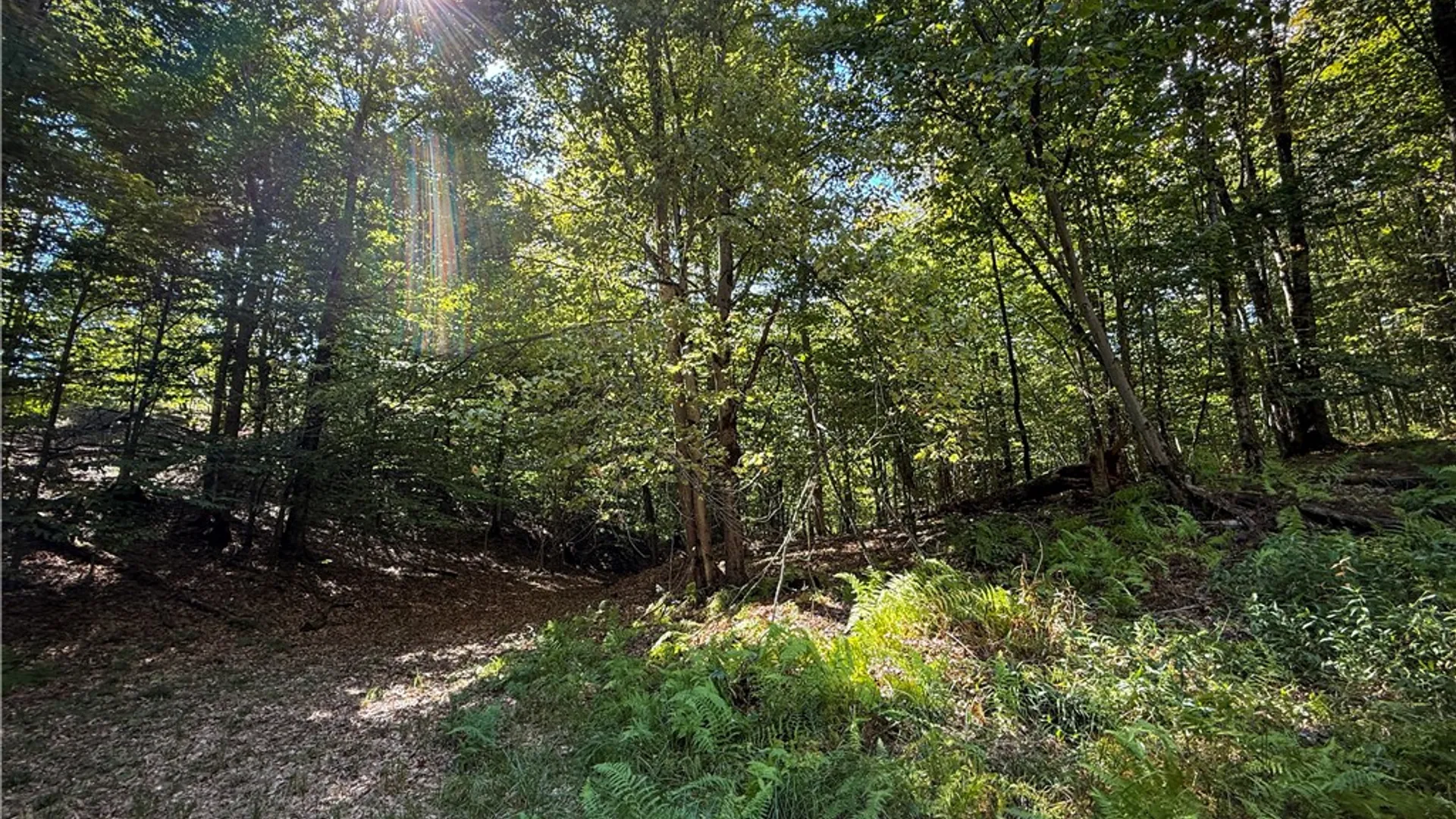 Property at Tamblin Ridge, Constantia, NY 13028 38