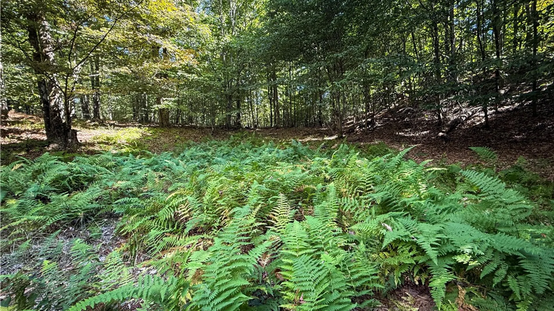 Property at Tamblin Ridge, Constantia, NY 13028 39