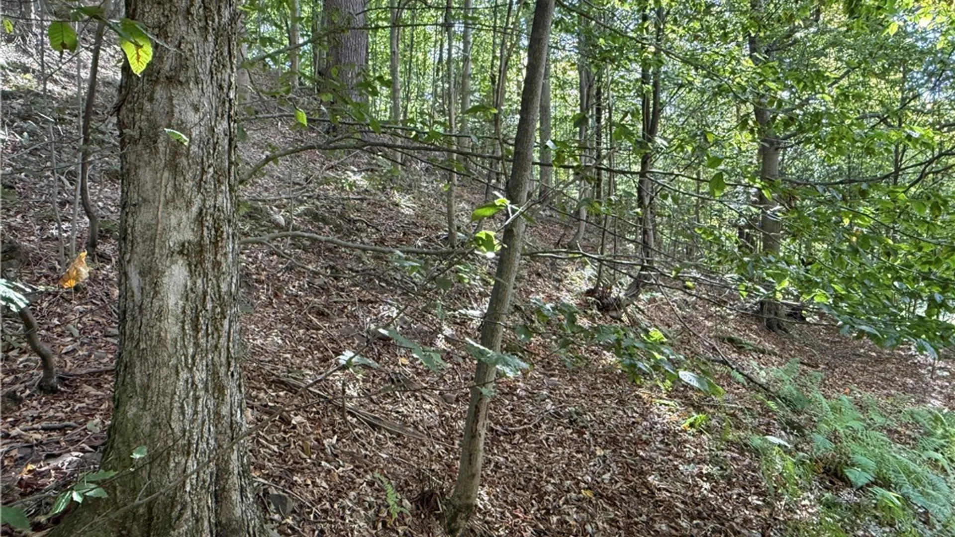 Property at Tamblin Ridge, Constantia, NY 13028 41