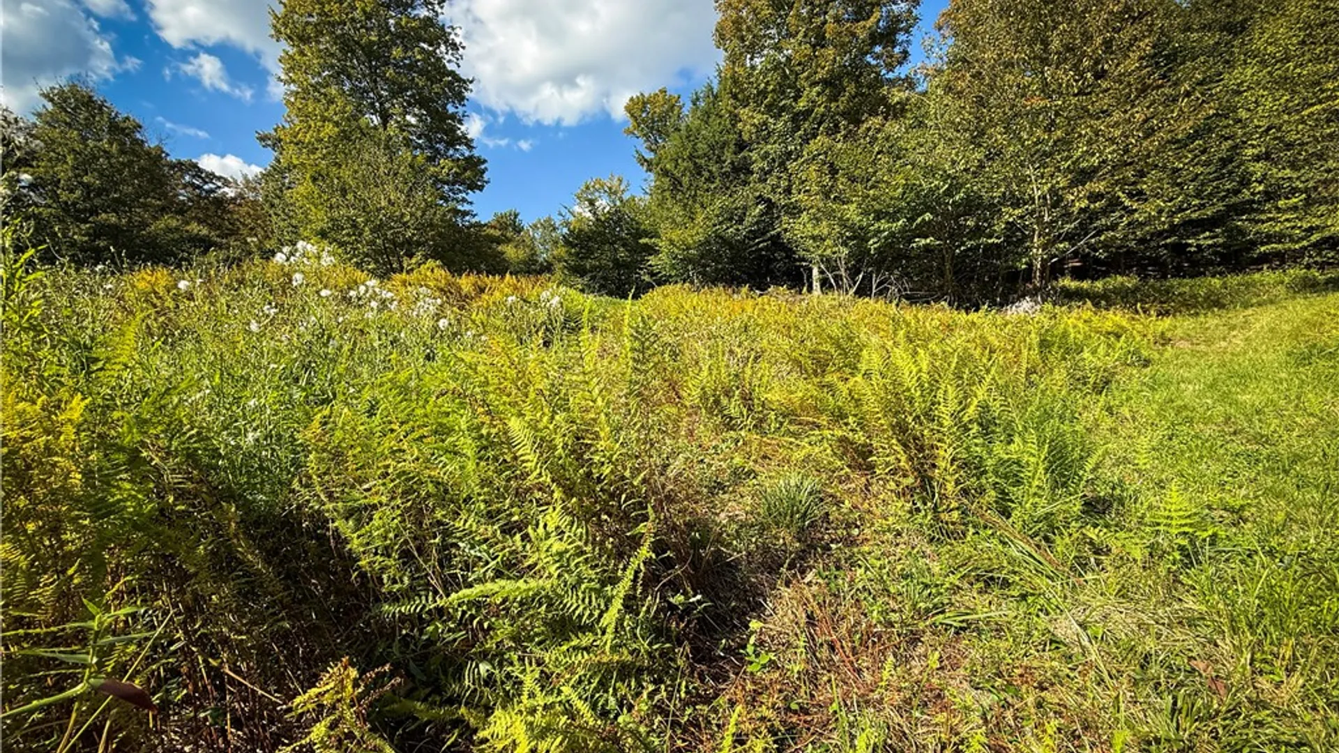 Property at Tamblin Ridge, Constantia, NY 13028 42