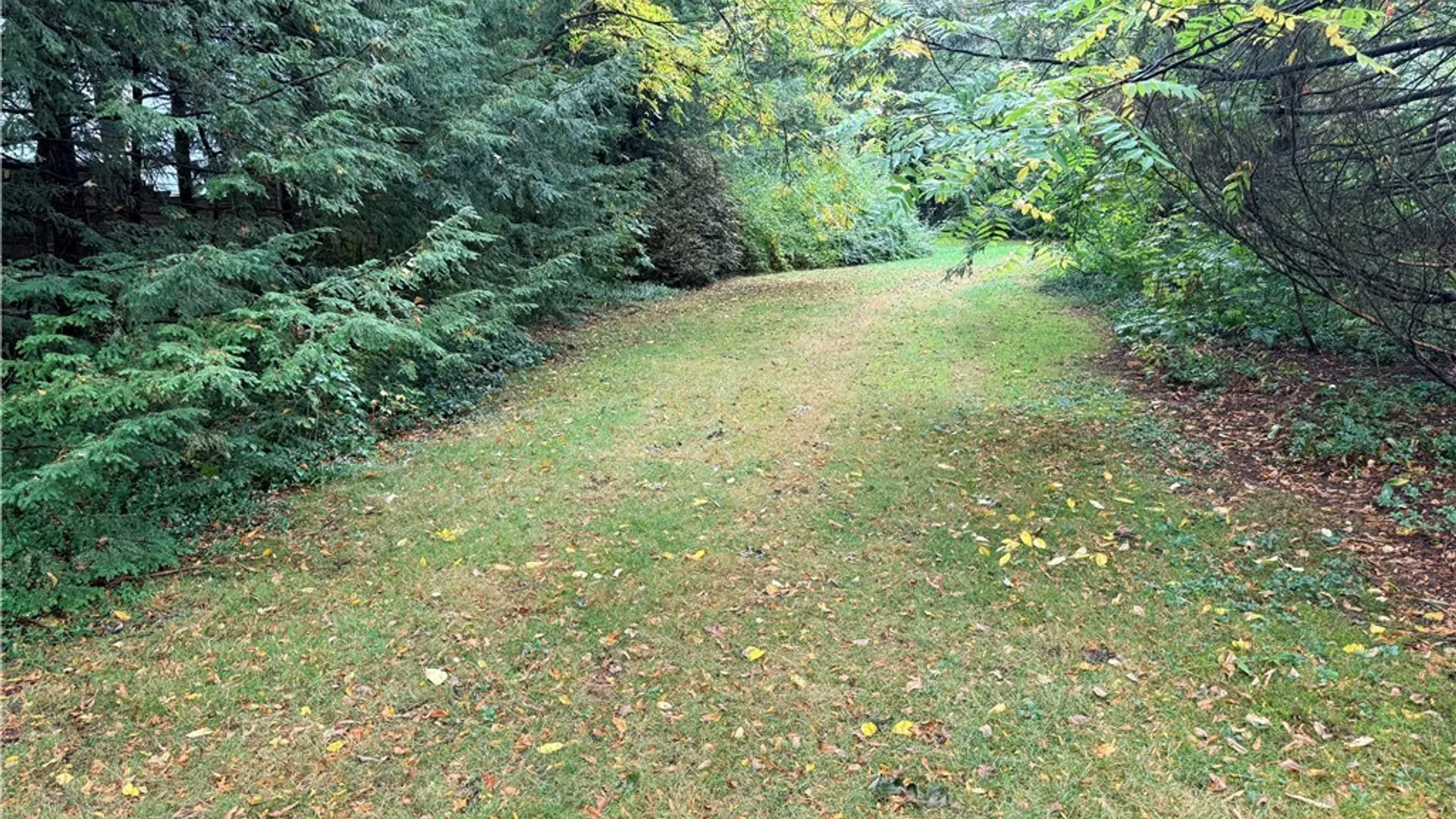 Property at 7 Reynolds Avenue, Cortland, NY 13045 41
