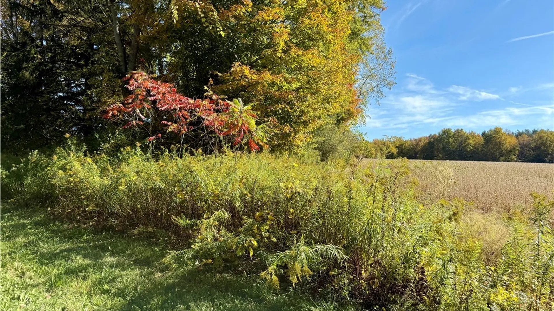 Property at 1241 County Line Road, Granby, NY 13069 6