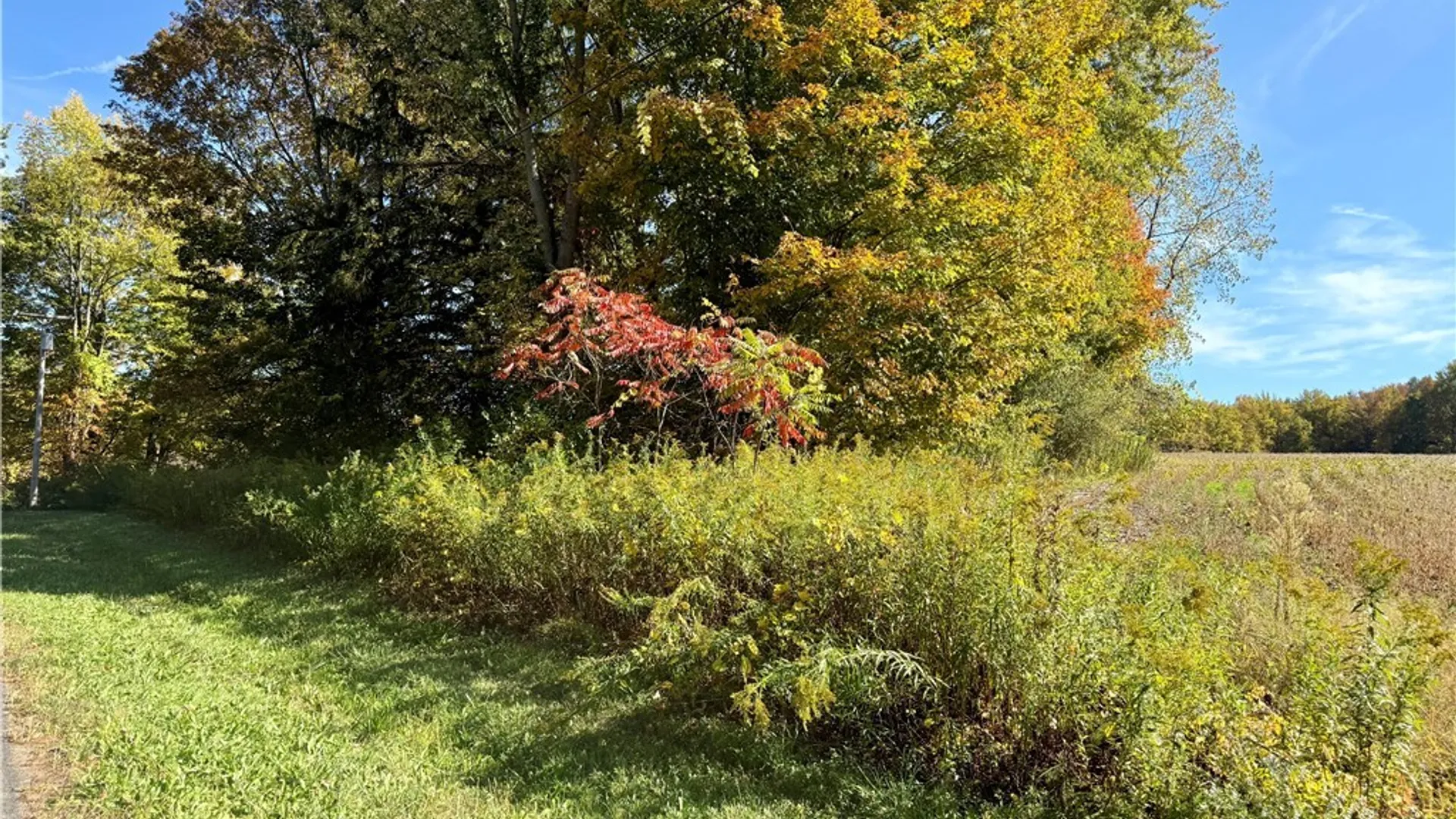 Property at 1241 County Line Road, Granby, NY 13069 7