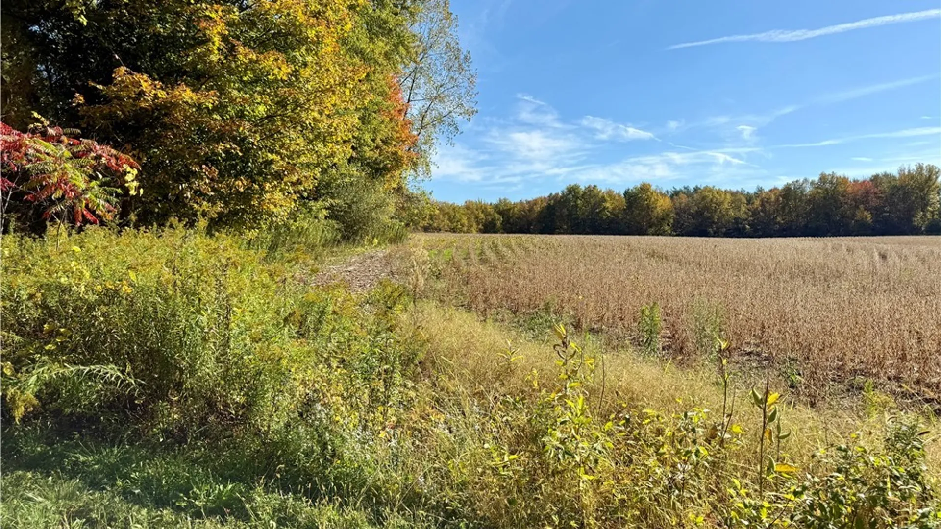 Property at 1241 County Line Road, Granby, NY 13069 8