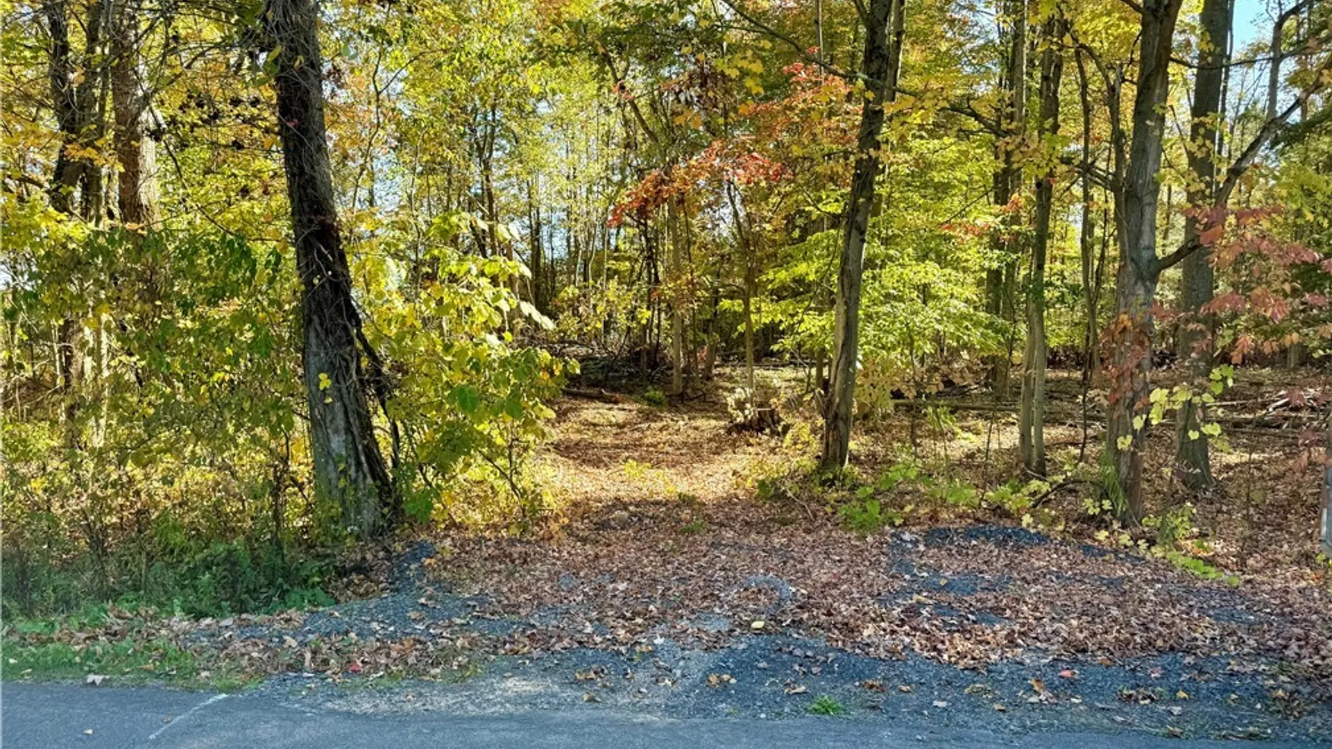Property at County Line Road, Granby, NY 13069 2