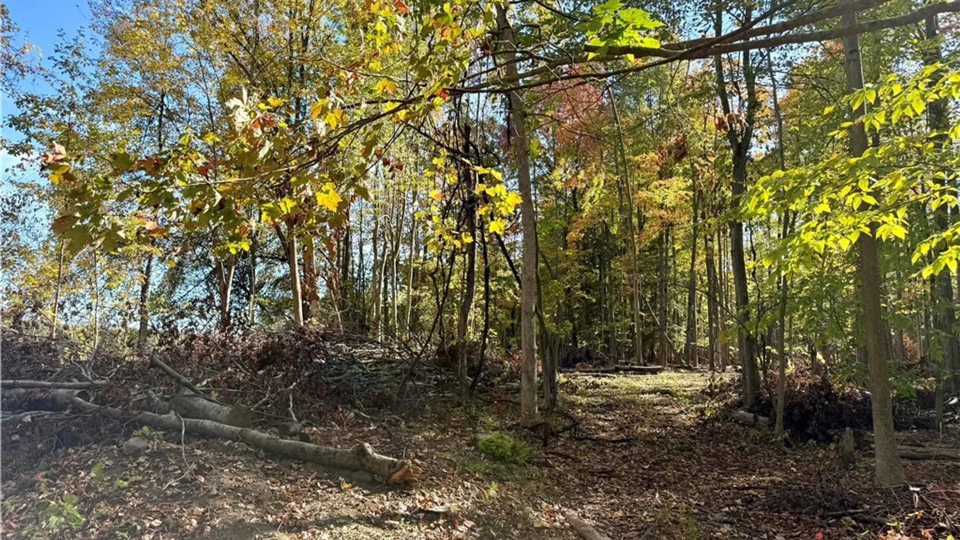 Property at County Line Road, Granby, NY 13069 3