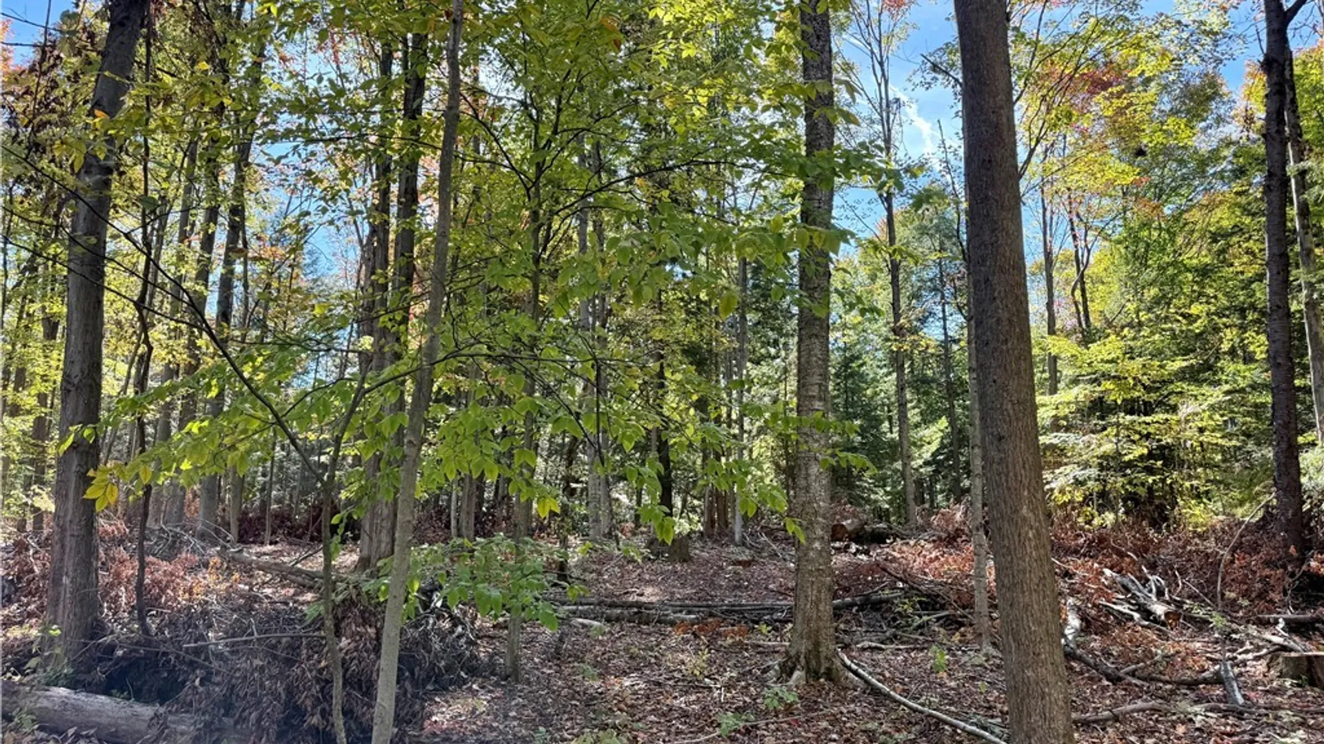 Property at County Line Road, Granby, NY 13069 4