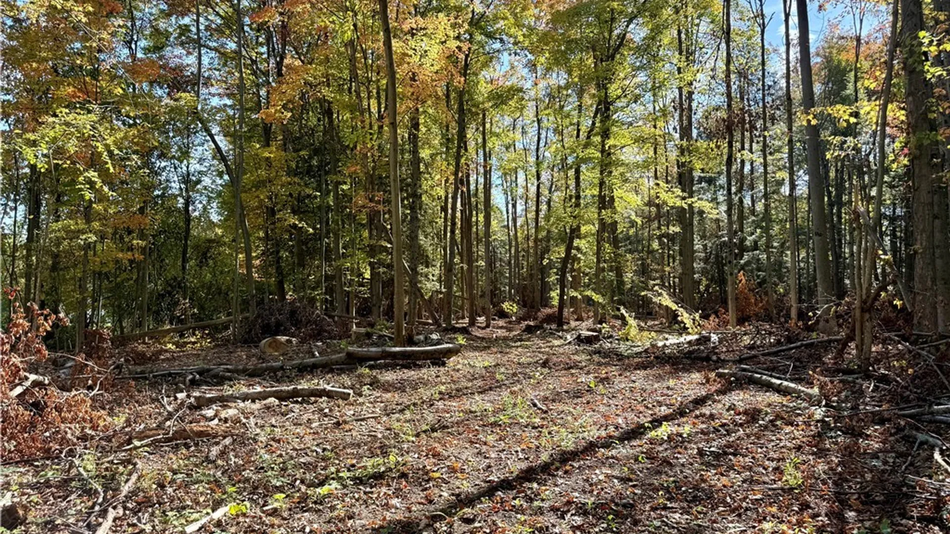 Property at County Line Road, Granby, NY 13069 5
