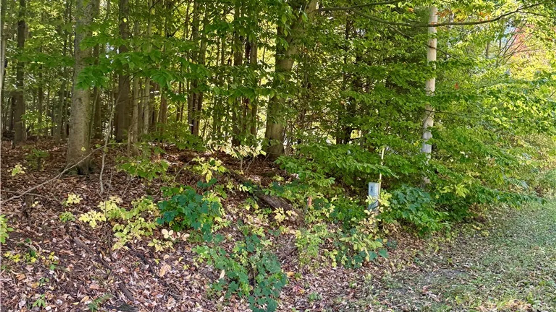 Property at County Line Road, Granby, NY 13069 8