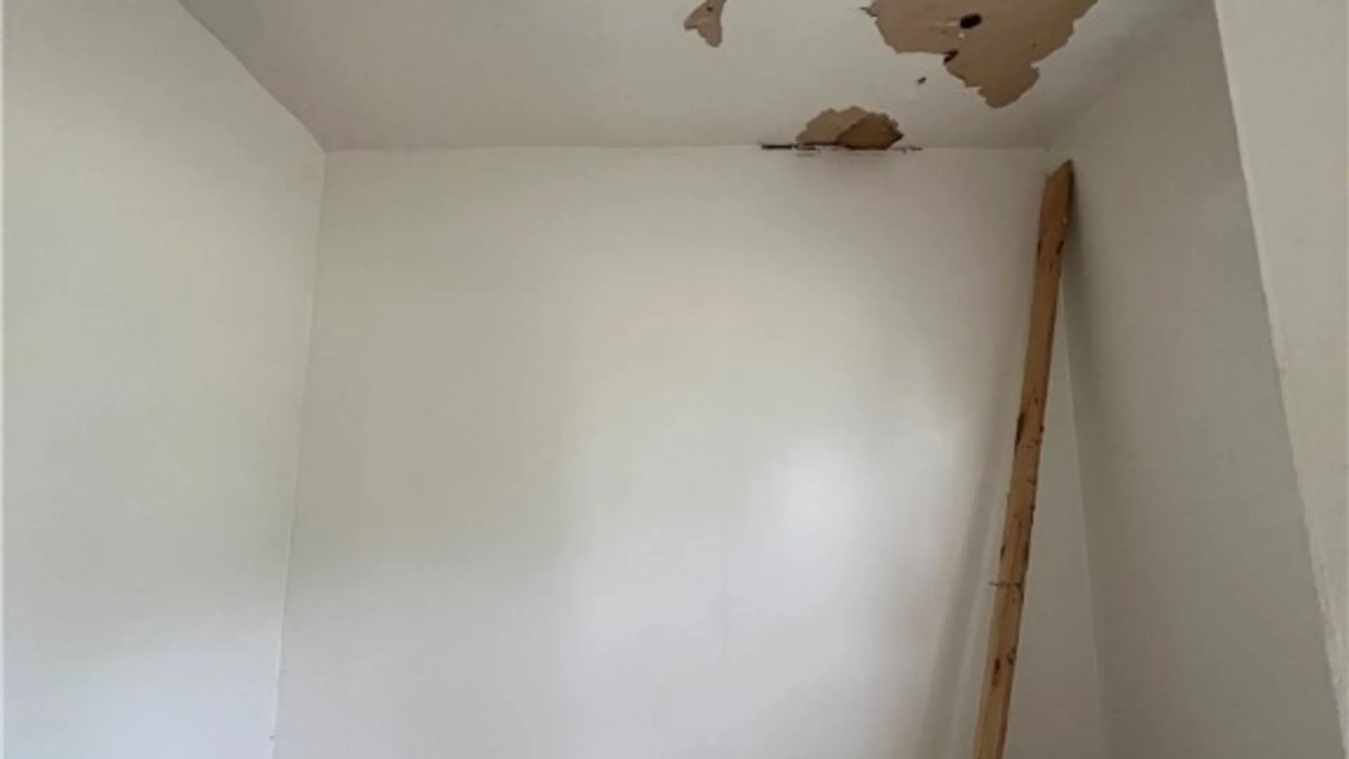 Property at 411 Dewitt Avenue, Elmira City, NY 14901 12