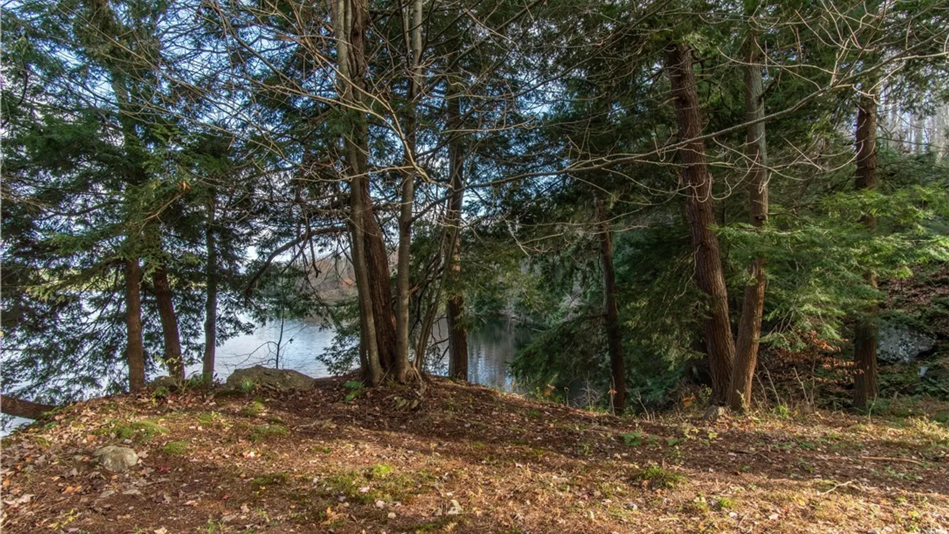 Property at 24 Park Circle/ PVRT, Rossie, NY 13646 42