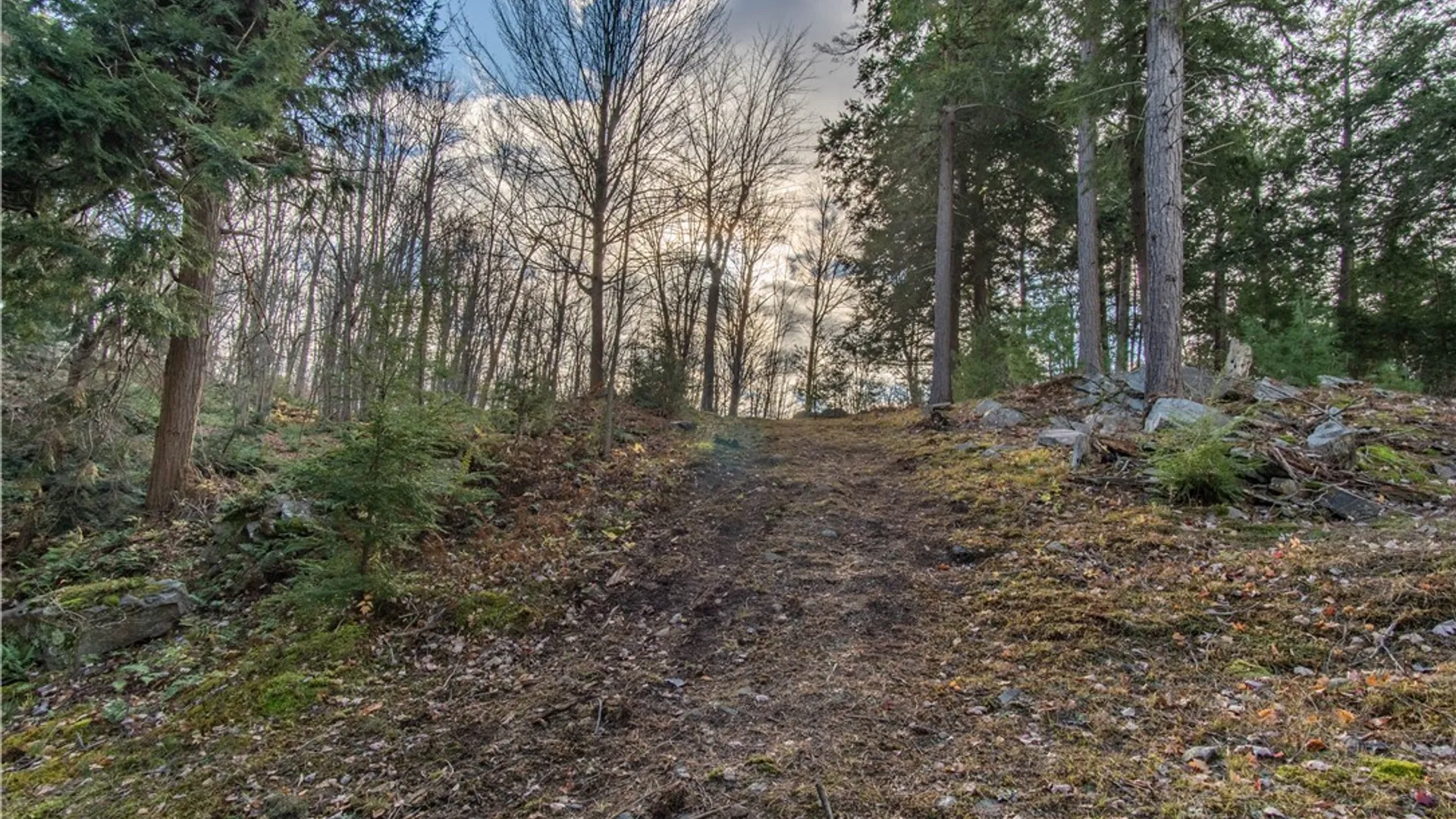 Property at 24 Park Circle/ PVRT, Rossie, NY 13646 43