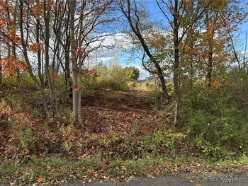 Property at California Hill Road, Mansfield, NY 14755