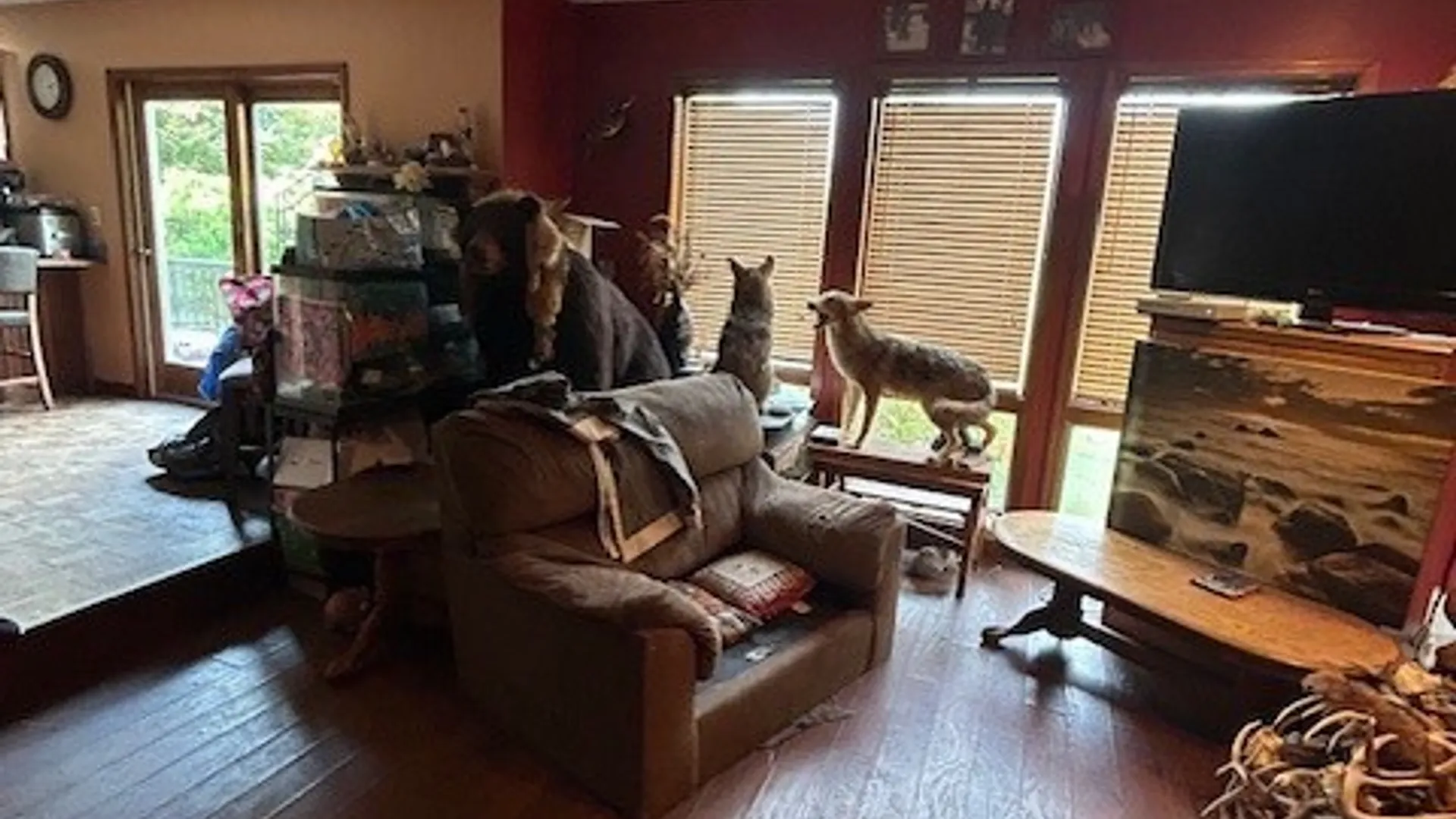 Property at 2917 Ryan Road, Brutus, NY 13166 12