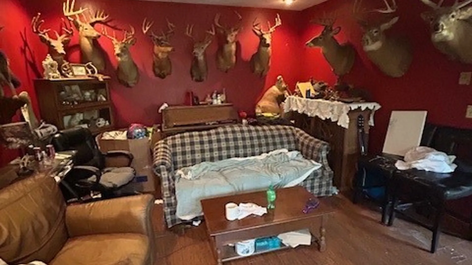 Property at 2917 Ryan Road, Brutus, NY 13166 13