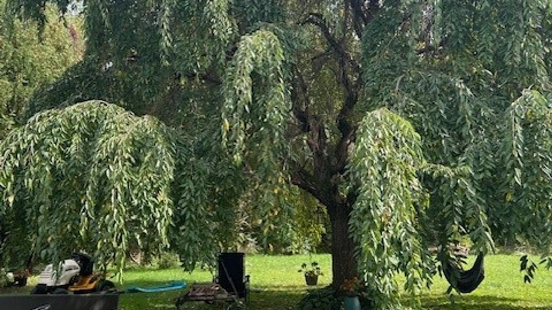 Property at 2917 Ryan Road, Brutus, NY 13166 17