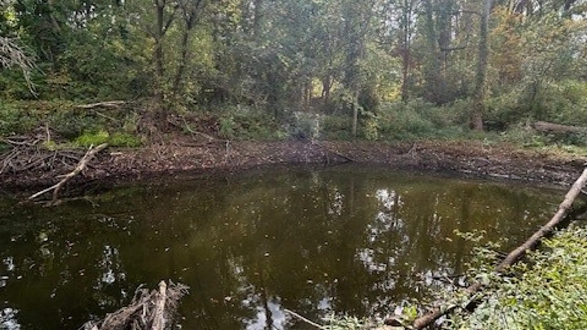 Property at 2917 Ryan Road, Brutus, NY 13166 18