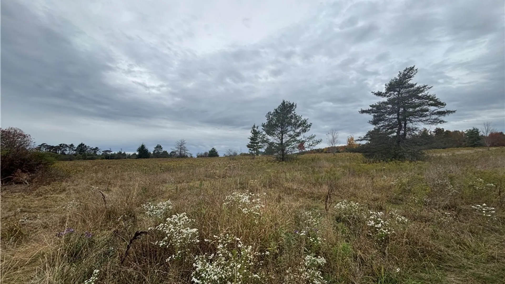 Property at VL Hunters, Andover, NY 14806 7