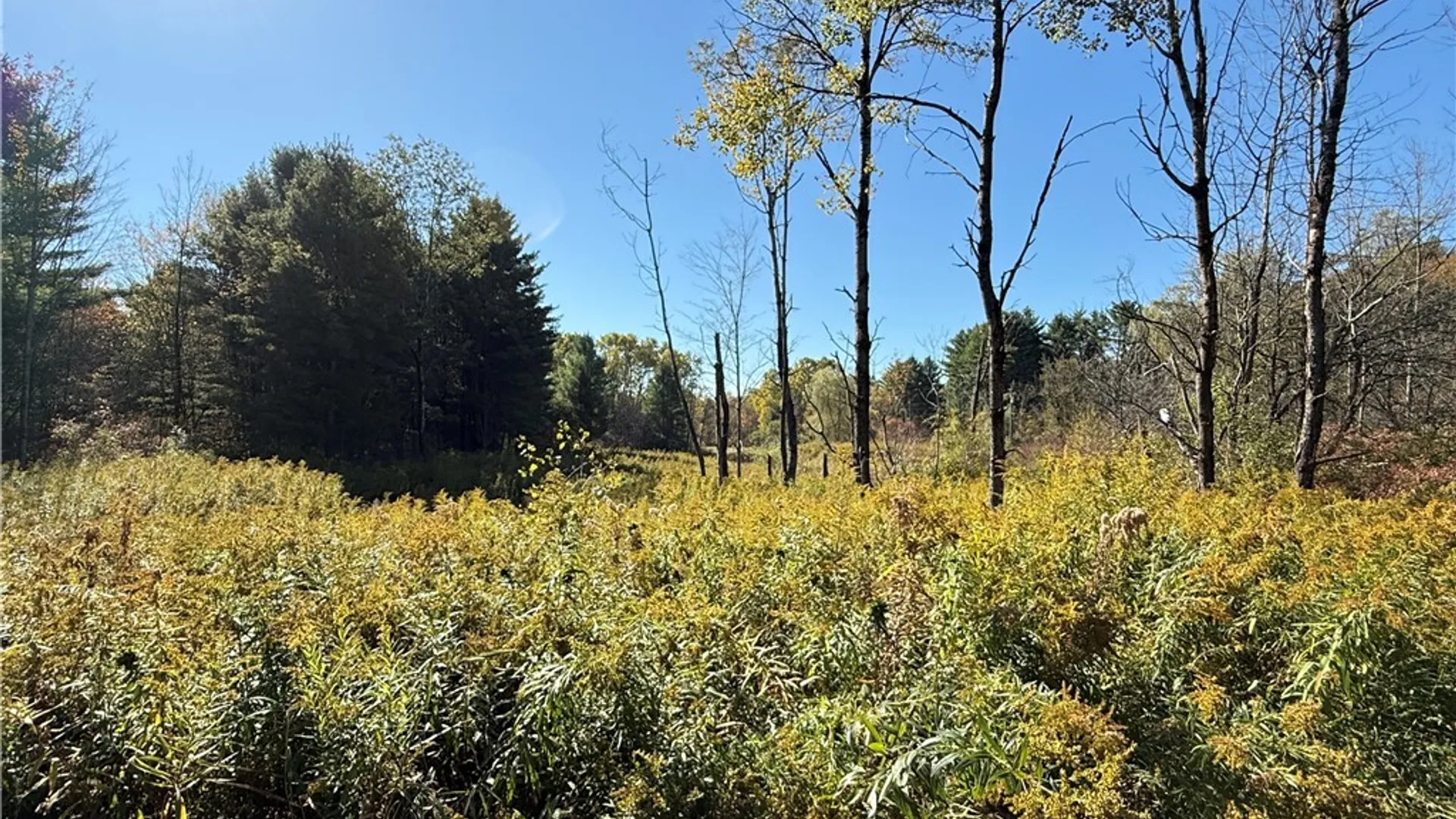 Property at Shoemaker Road, Van Etten, NY 14889 10