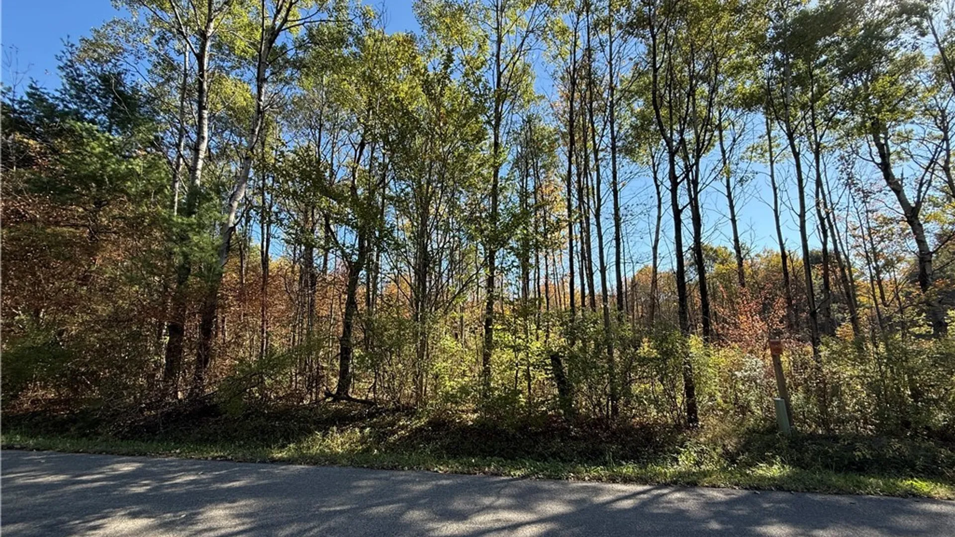 Property at Shoemaker Road, Van Etten, NY 14889 11