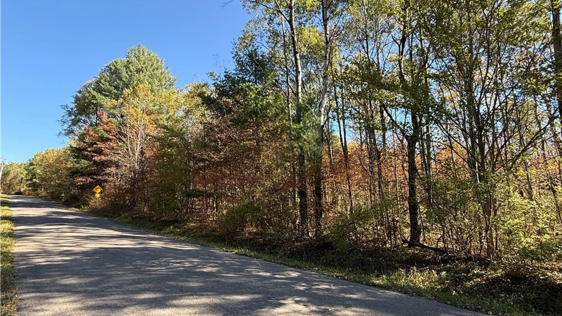 Property at Shoemaker Road, Van Etten, NY 14889 12