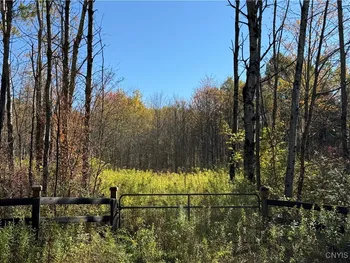 Shoemaker Road, Van Etten, NY 14889