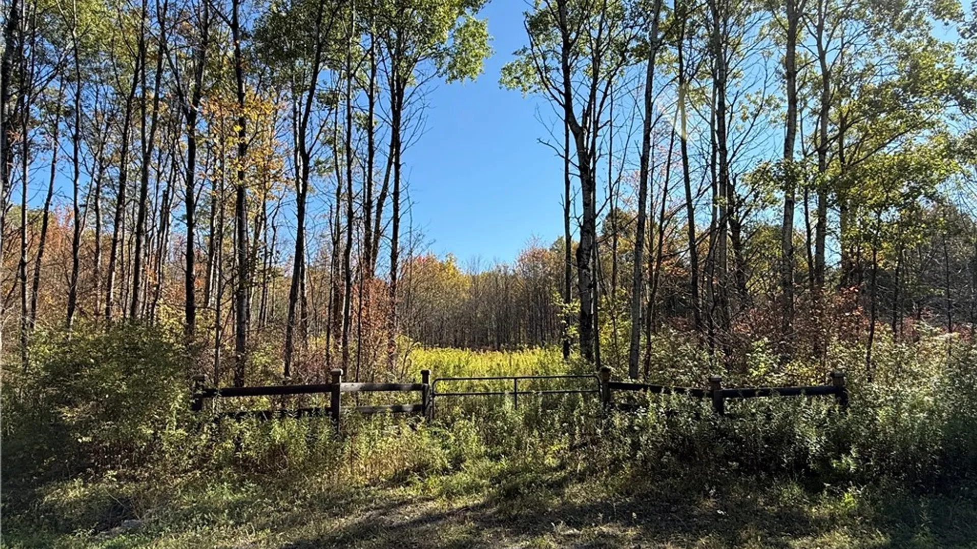 Property at Shoemaker Road, Van Etten, NY 14889 2