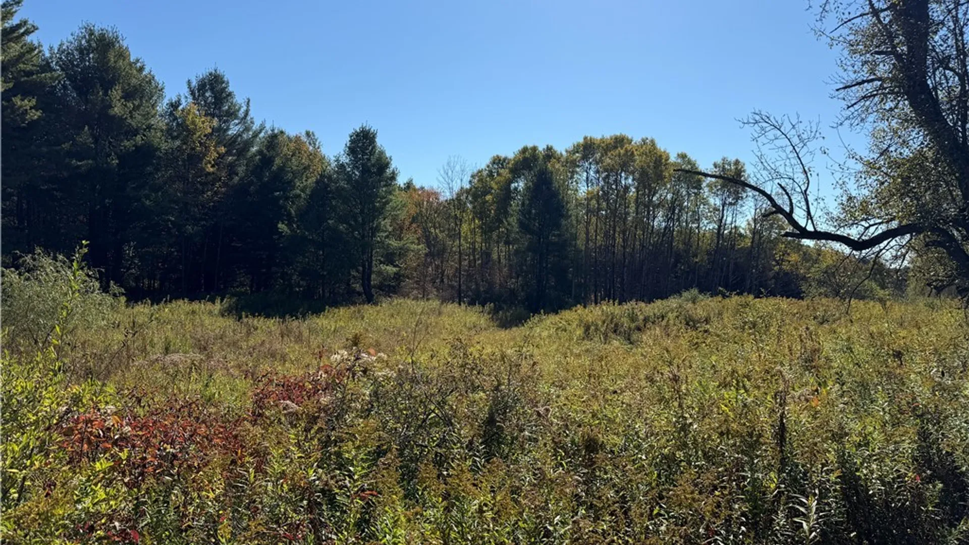 Property at Shoemaker Road, Van Etten, NY 14889 3