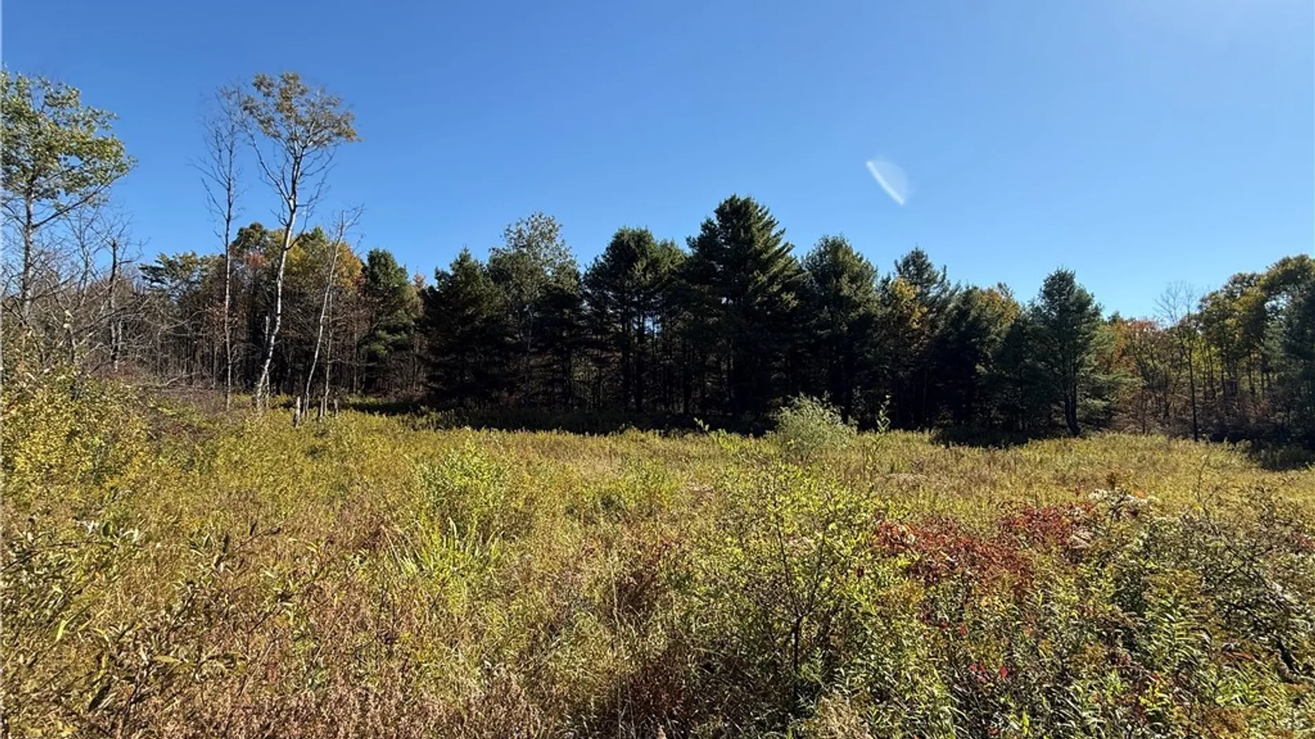 Property at Shoemaker Road, Van Etten, NY 14889 4