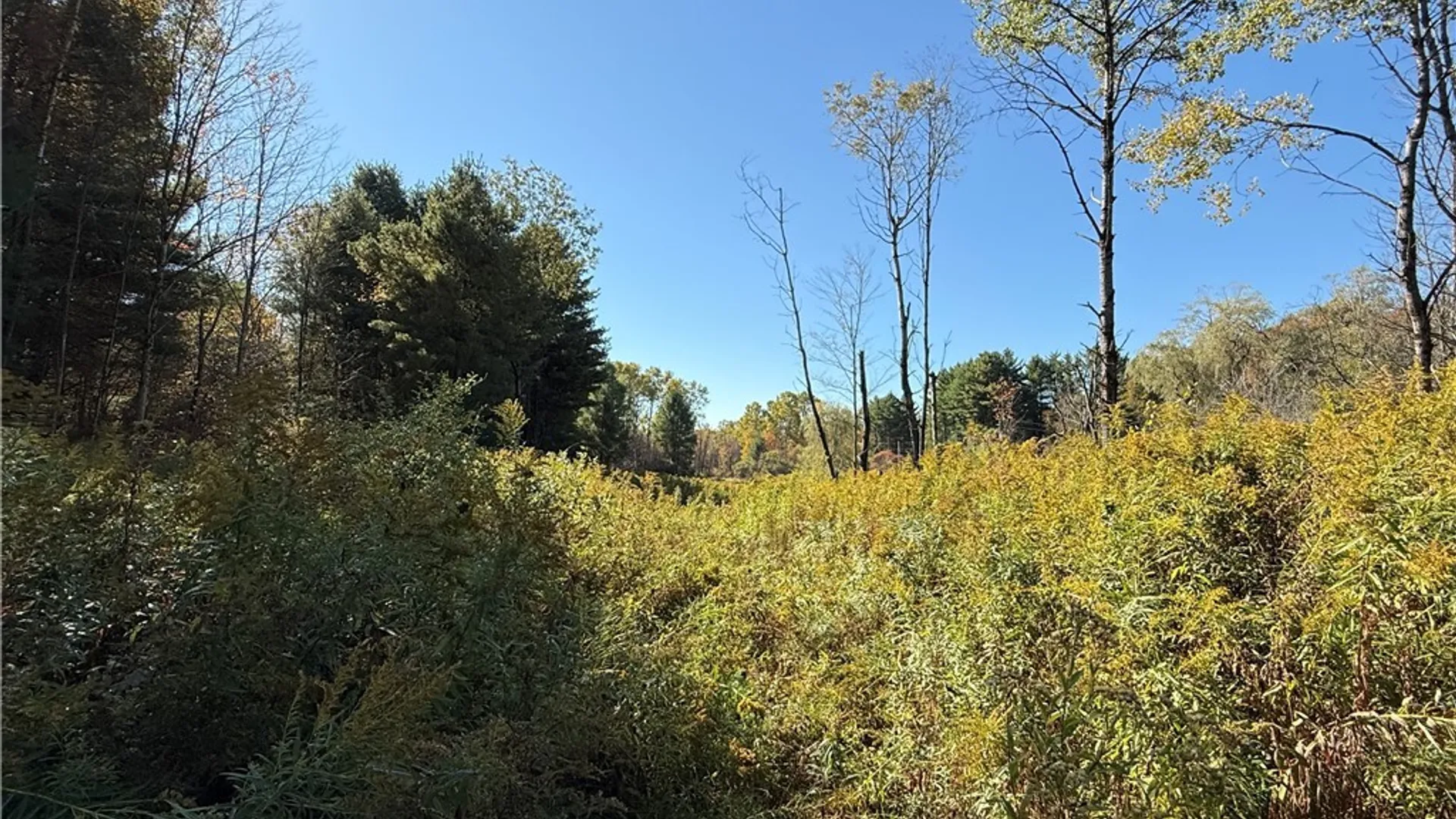 Property at Shoemaker Road, Van Etten, NY 14889 5