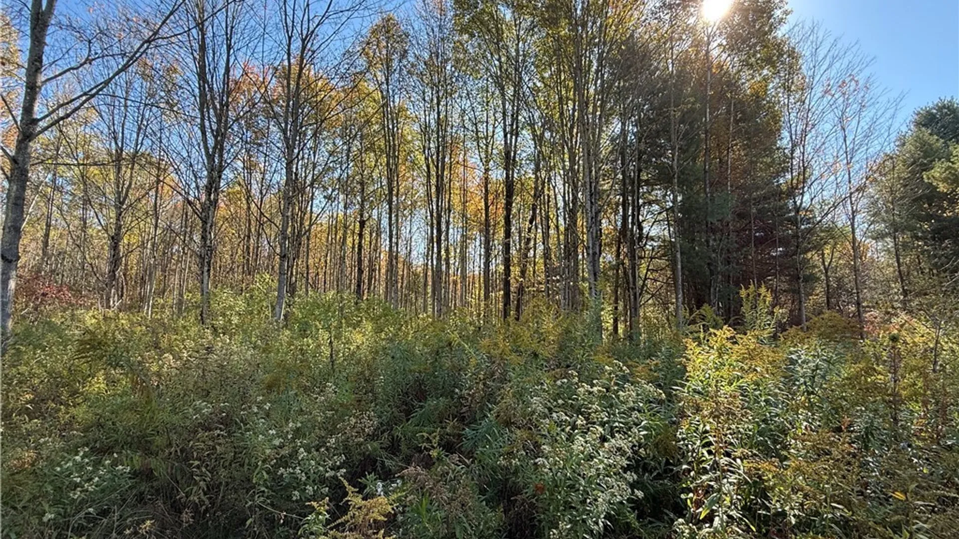 Property at Shoemaker Road, Van Etten, NY 14889 6