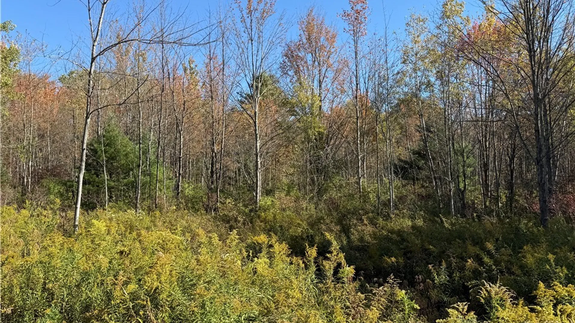 Property at Shoemaker Road, Van Etten, NY 14889 7