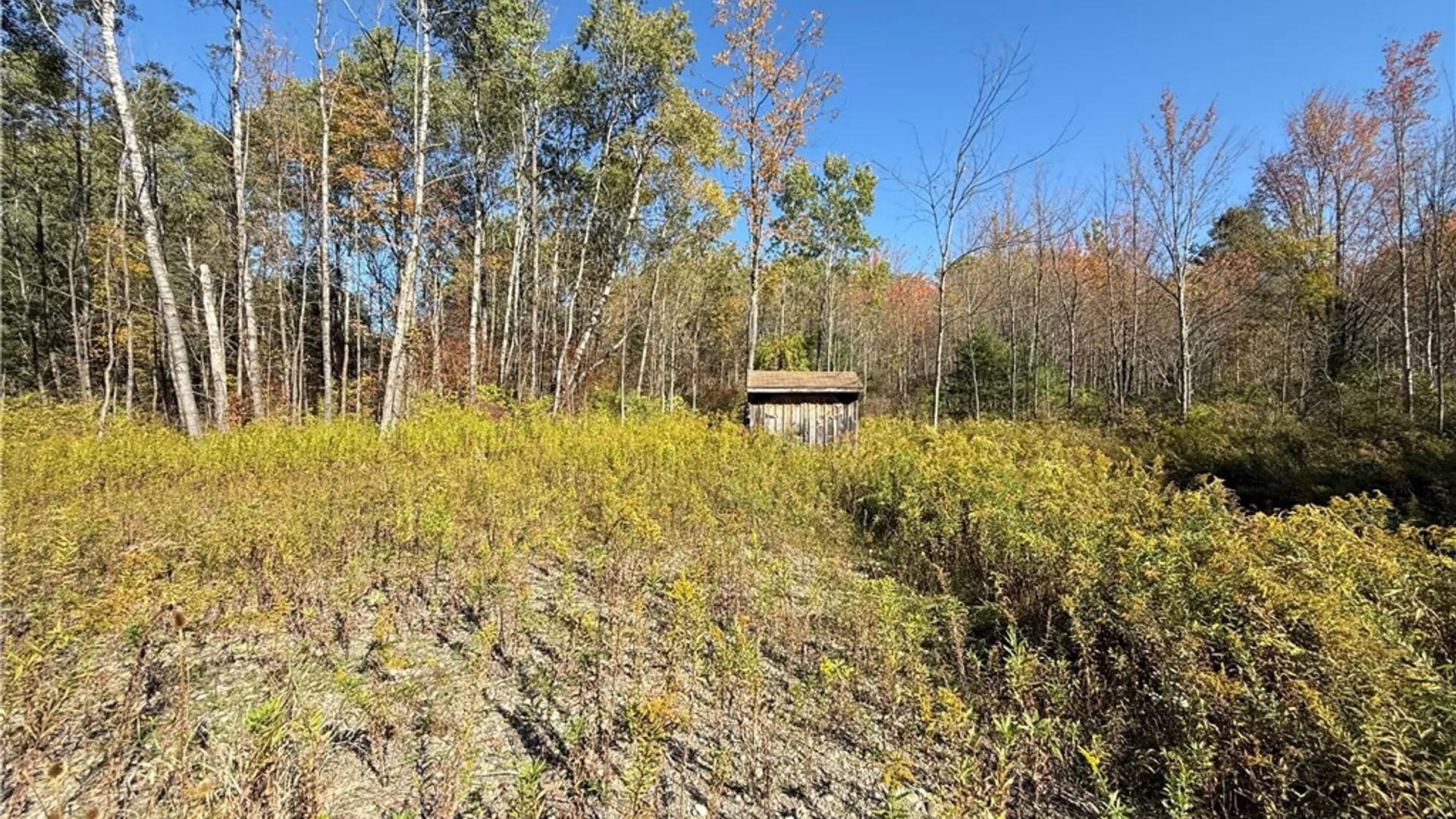 Property at Shoemaker Road, Van Etten, NY 14889 8