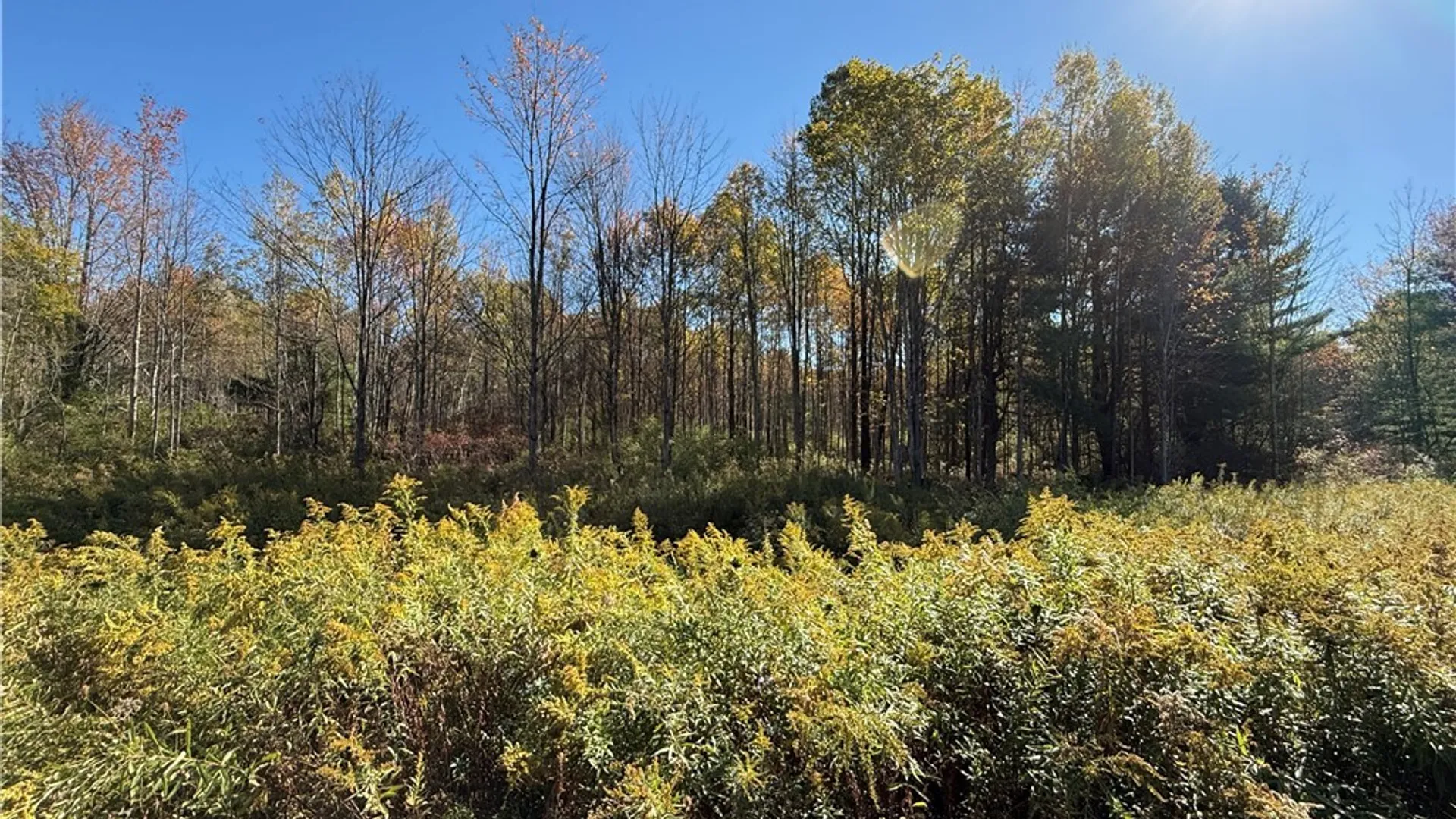 Property at Shoemaker Road, Van Etten, NY 14889 9