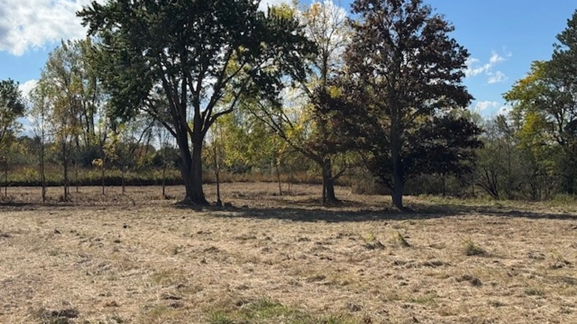 Property at 12 Cavalry Road, Geneseo, NY 14454 2