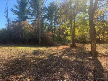 Property at North Road, Perrysburg, NY 14129