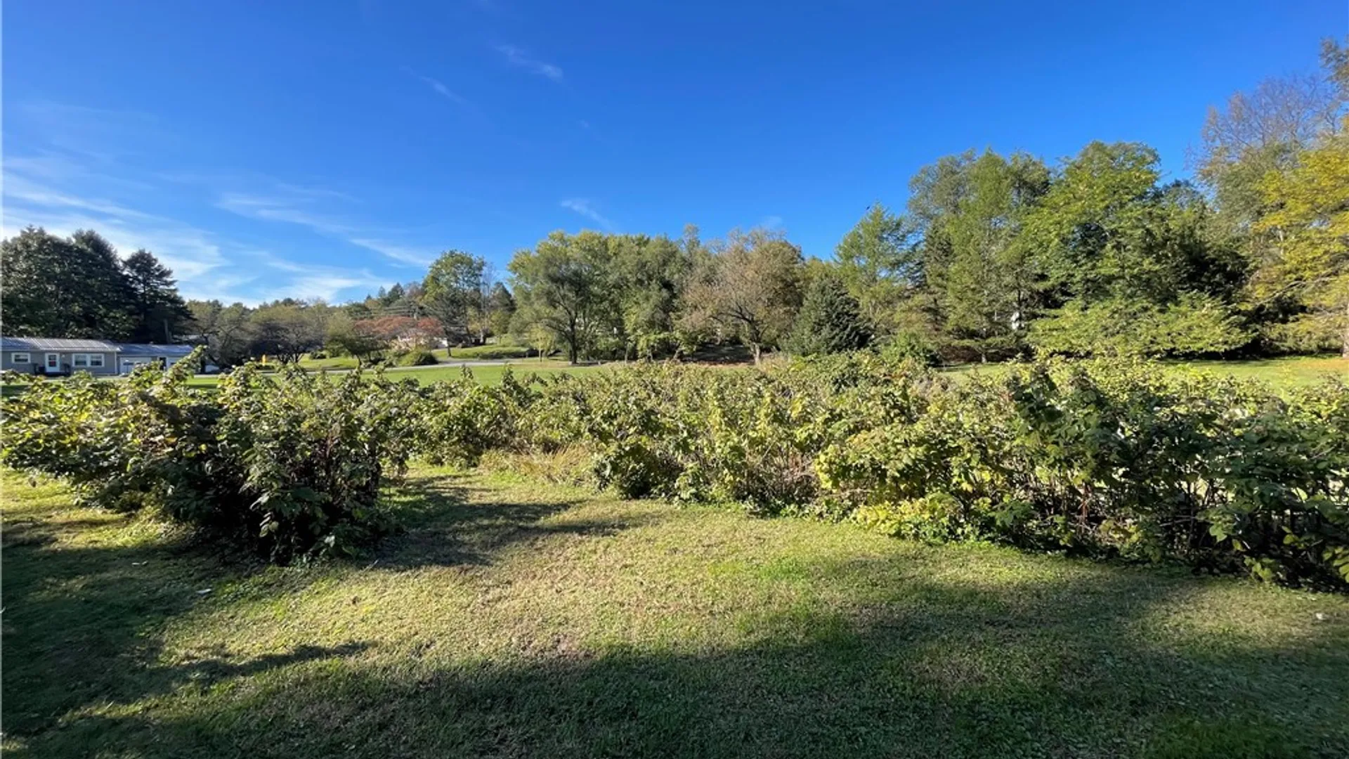 Property at 631 State Highway 7, Unadilla, NY 13849 44