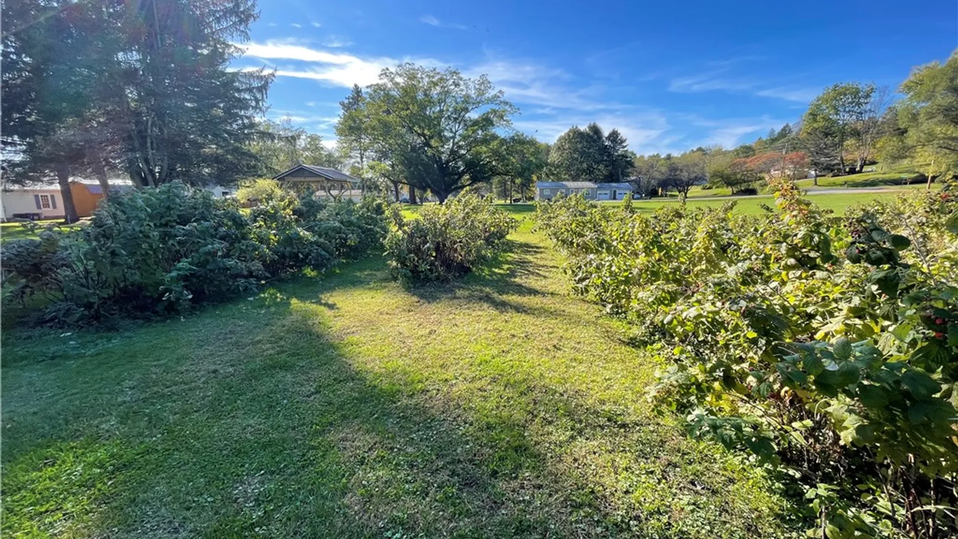 Property at 631 State Highway 7, Unadilla, NY 13849 7