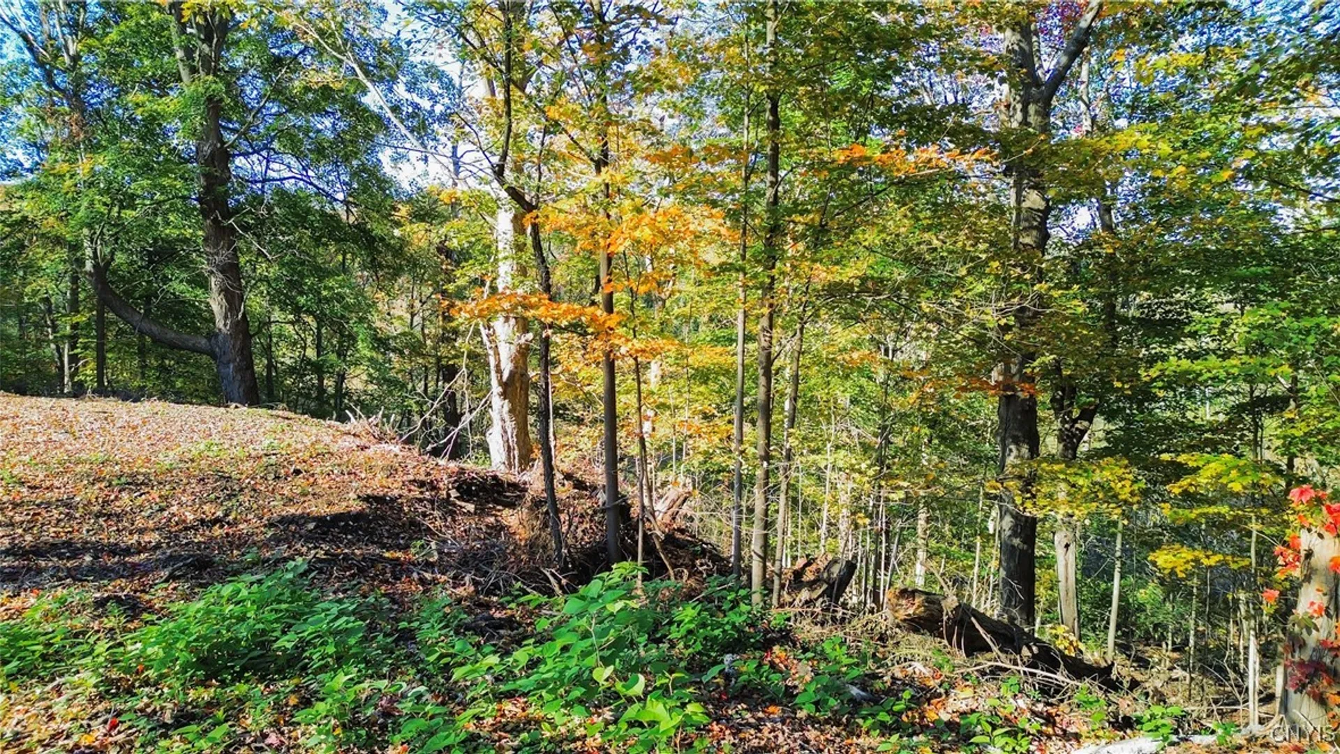 Property at Harrison Avenue, Frankfort, NY 13357 12