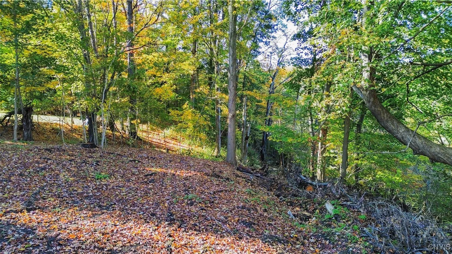 Property at Harrison Avenue, Frankfort, NY 13357 13