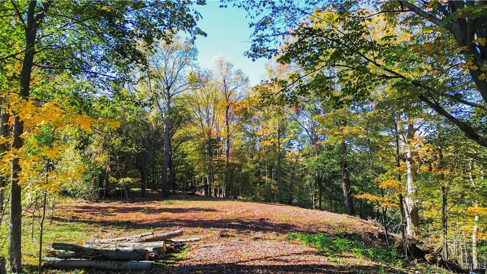 Property at Harrison Avenue, Frankfort, NY 13357 3