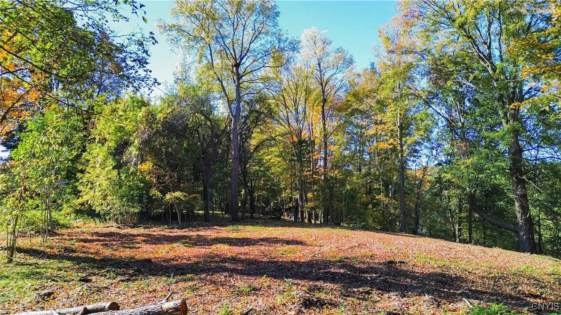 Property at Harrison Avenue, Frankfort, NY 13357 4